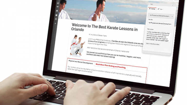 Amazing Martial Arts Website Themes