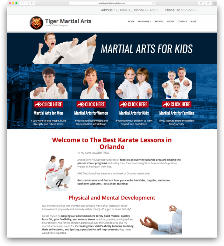 Amazing Martial Arts Websites theme