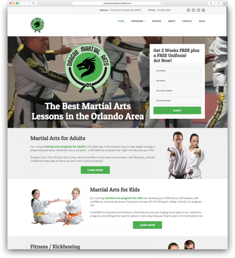 Amazing Martial Arts Websites theme